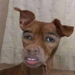 Meet your Posher, Victor